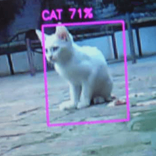 YOLOv11 Object Detection on Google Colab