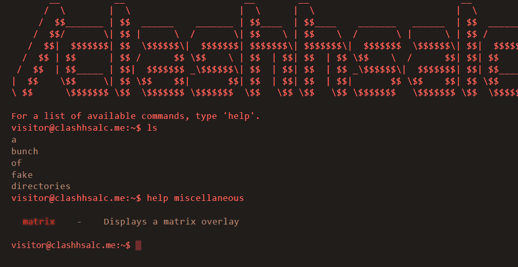 Terminal-Themed Website